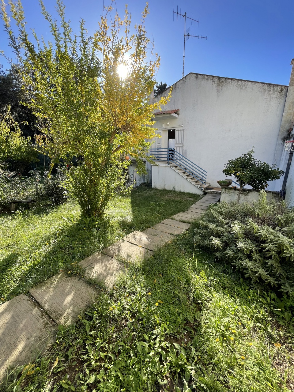Immagine 00243202/v22_GIARDINO_656614f13a6cc.jpg